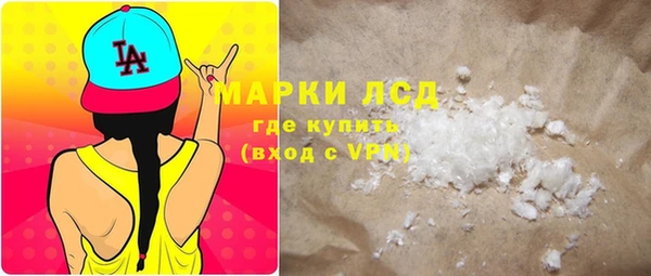 стаф Алзамай