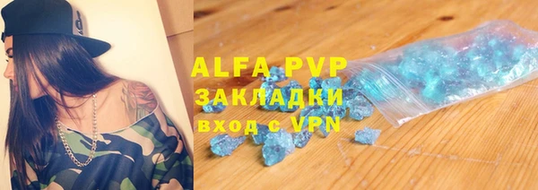 стаф Алзамай