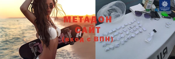 стаф Алзамай