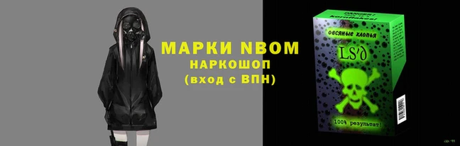стаф Алзамай