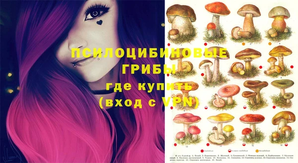 марки lsd Новокубанск
