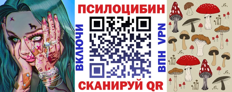 KRAKEN маркетплейс  Зверево  Псилоцибиновые грибы Psilocybine cubensis  где купить наркоту 
